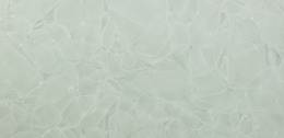 Bio-Glass