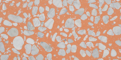 Whimbrel Apricot Thumbnail.png