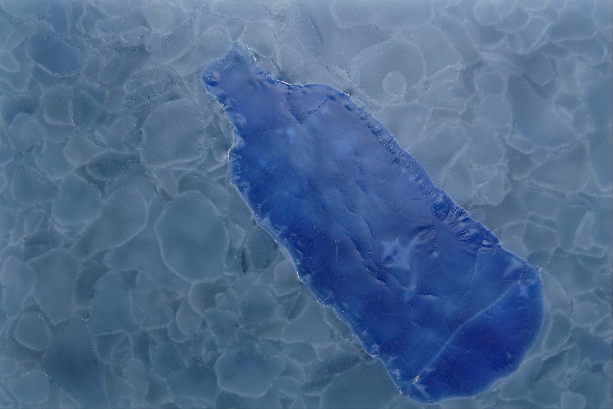 Bio-Glass Urban Fossil Aquamarine w topaz bottle sample 2 - Correct.jpg