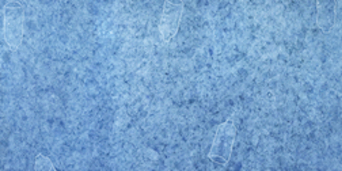 UF bioglass image.jpg