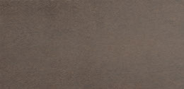 Safari Brown tb.jpg